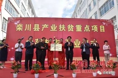栾川县产业扶贫重点项目中蔼制衣开业运营